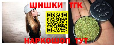 индика Гусь-Хрустальный