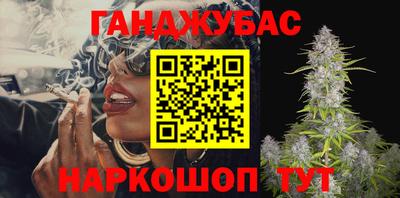 индика Гусь-Хрустальный