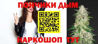 индика Гусь-Хрустальный