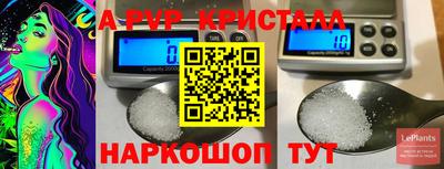 индика Гусь-Хрустальный