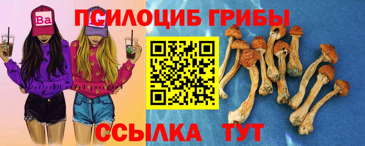 Псилоцибиновые грибы прущие грибы Острогожск