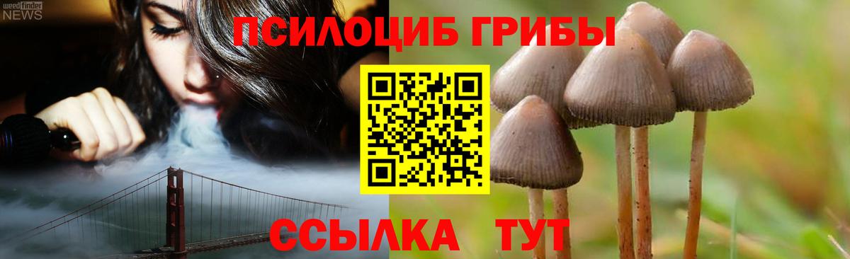 Галлюциногенные грибы мухоморы  Галлюциногенные грибы Psilocybe  Вход с VPN  Острогожск 